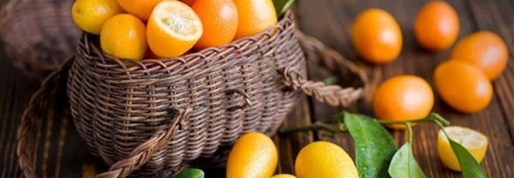 Кумкват: полезные свойства и способы приготовления экзотического фрукта