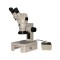 SZ51 Роль стереомикроскопов в современной лабораторной практике