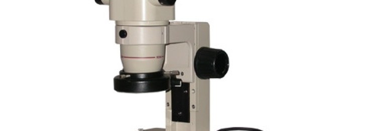 SZ51 Роль стереомикроскопов в современной лабораторной практике