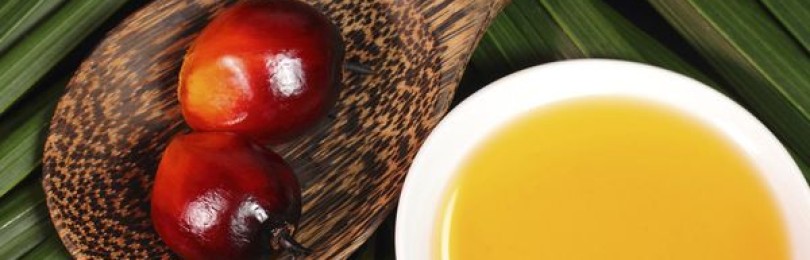 Польза и вред пальмового масла