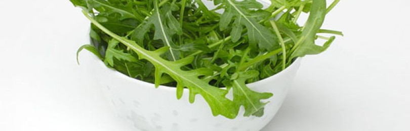 В чем польза рукколы для организма и чем может быть вреден этот салат?