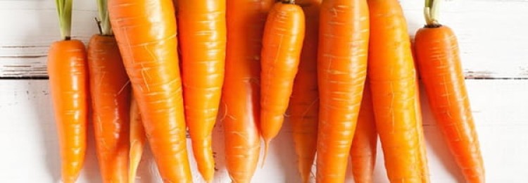 Польза и вред моркови